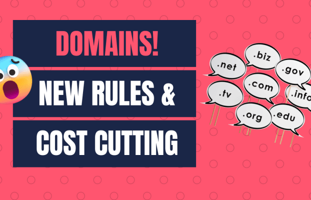 Domain Management for Affiliate Programs